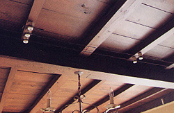 �d���͊V�q�̗p